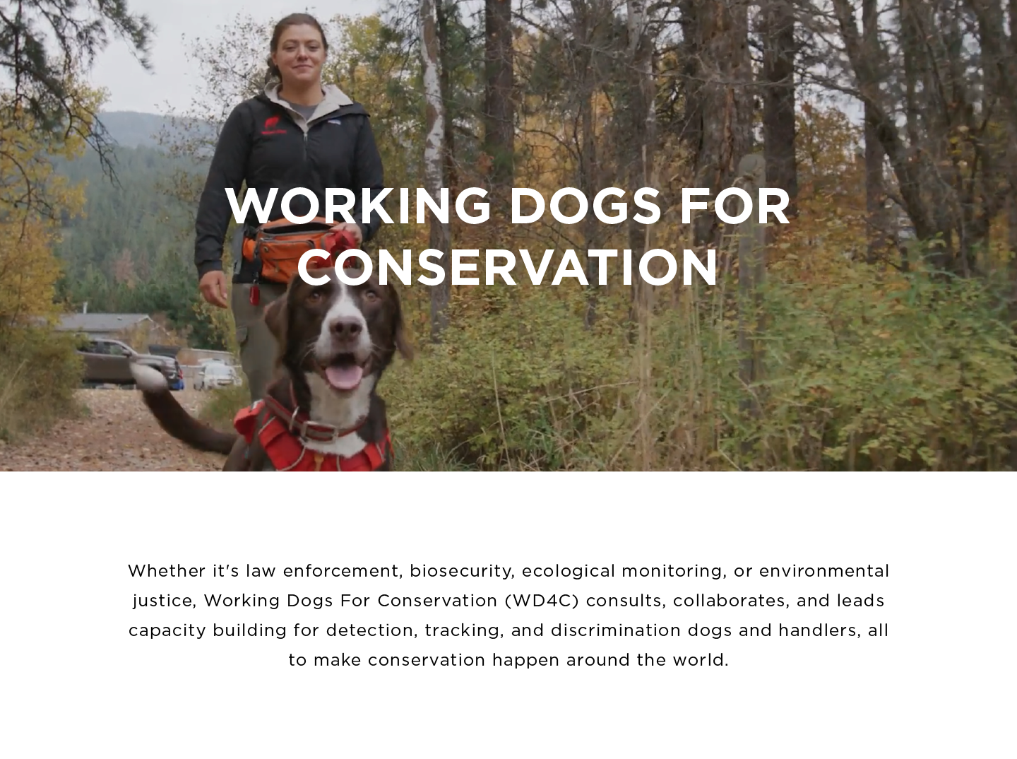 working-dogs-for-conservation